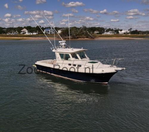 Albin 28 Tournament Express beoordelingen en specificaties